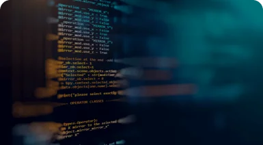 Application Secure Code Review